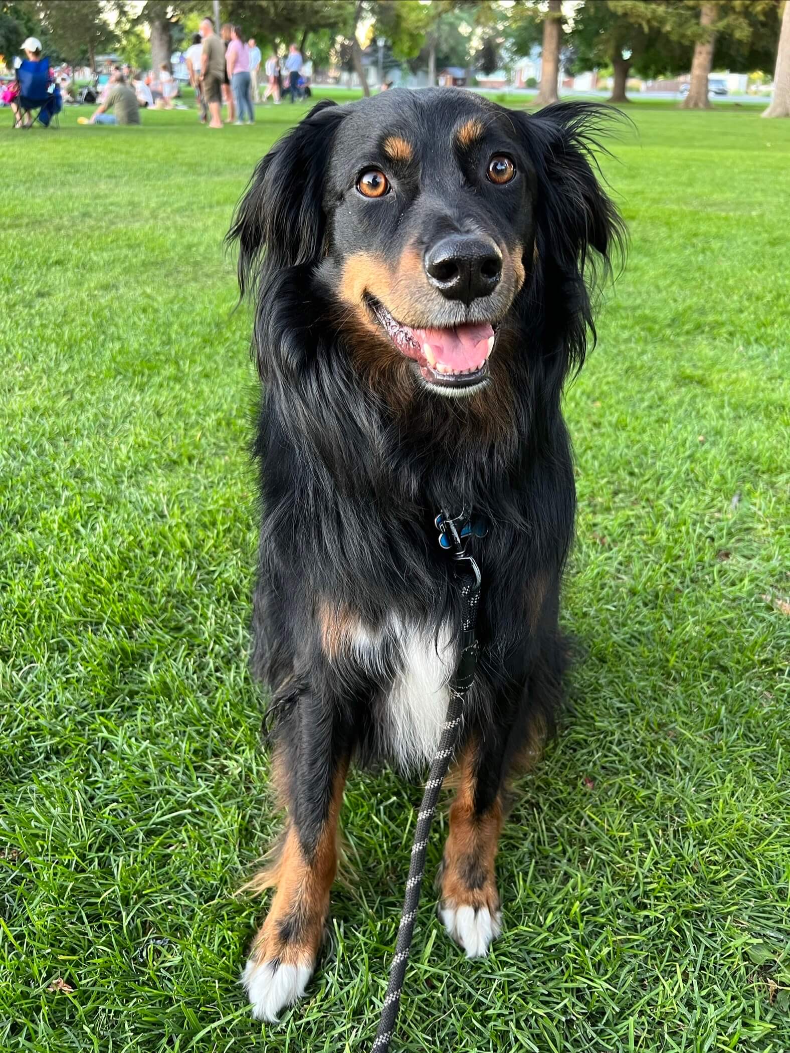 Bandit