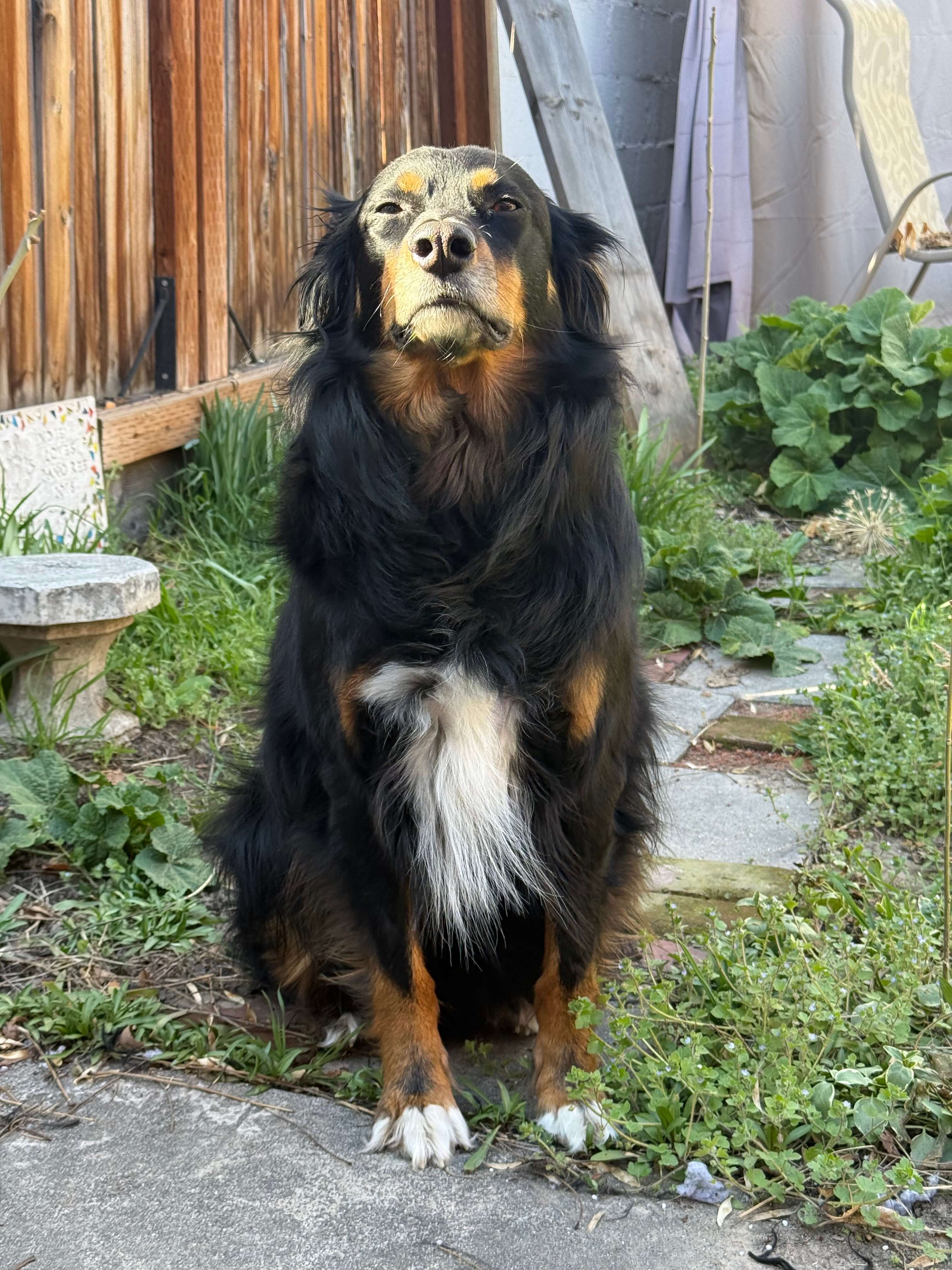 Bandit